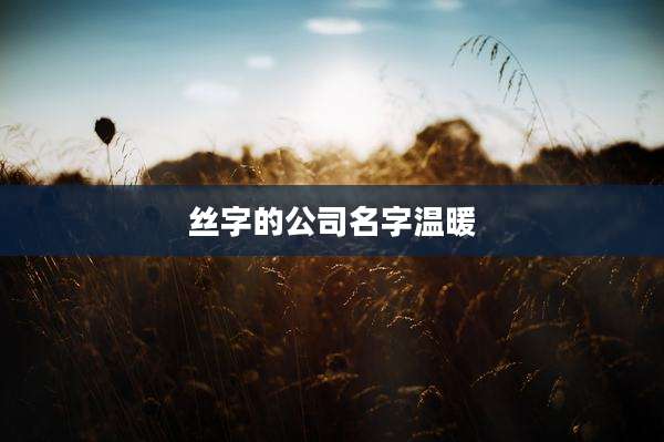 丝字的公司名字温暖