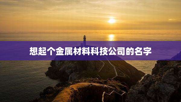 想起个金属材料科技公司的名字