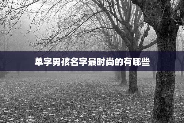 单字男孩名字最时尚的有哪些