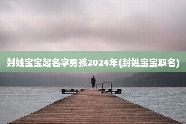封姓宝宝起名字男孩2024年(封姓宝宝取名)