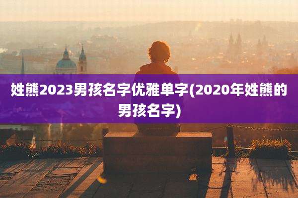 姓熊2023男孩名字优雅单字(2020年姓熊的男孩名字)