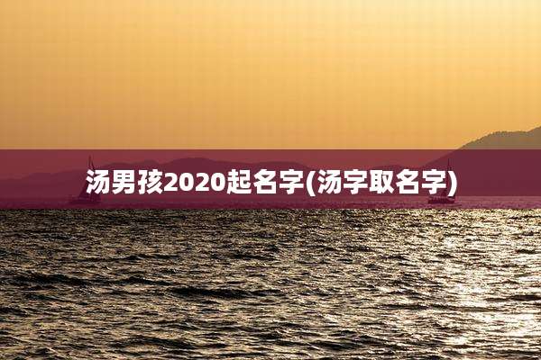 汤男孩2020起名字(汤字取名字)