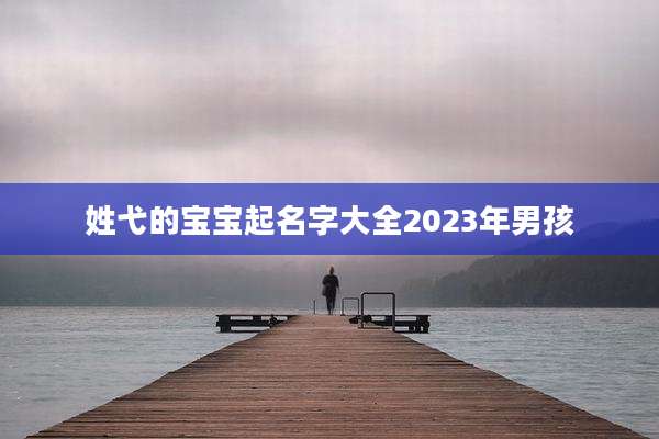 姓弋的宝宝起名字大全2023年男孩