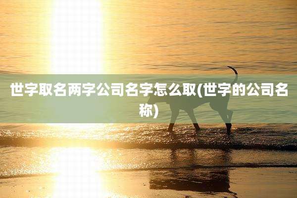 世字取名两字公司名字怎么取(世字的公司名称)
