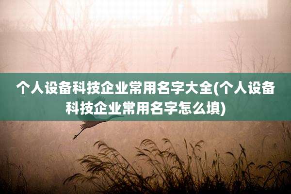 个人设备科技企业常用名字大全(个人设备科技企业常用名字怎么填)