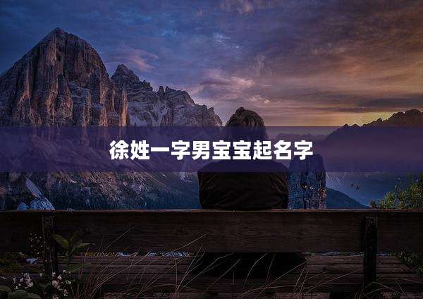 徐姓一字男宝宝起名字