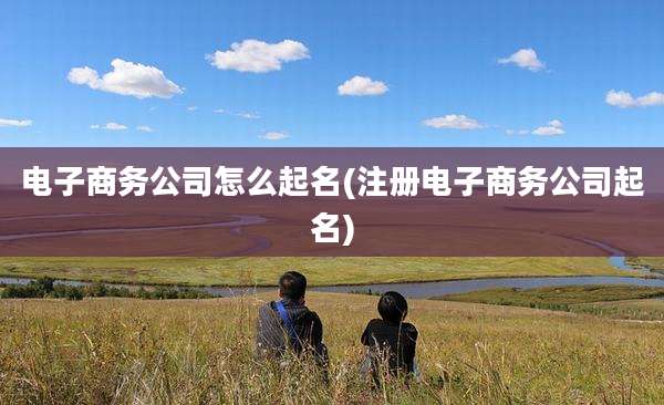 电子商务公司怎么起名(注册电子商务公司起名)