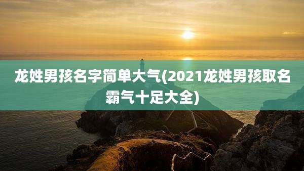 龙姓男孩名字简单大气(2021龙姓男孩取名霸气十足大全)