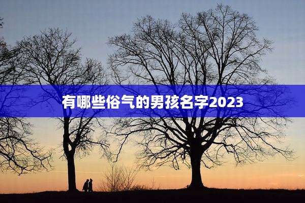 有哪些俗气的男孩名字2023