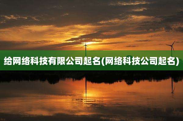 给网络科技有限公司起名(网络科技公司起名)