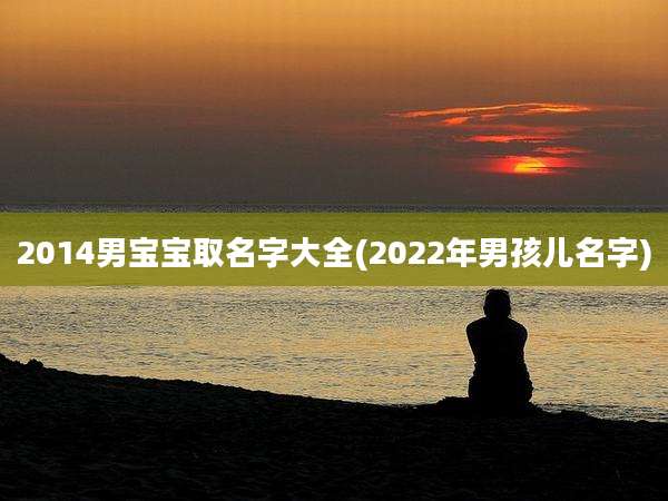 2014男宝宝取名字大全(2022年男孩儿名字)