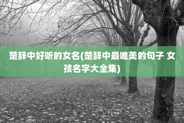 楚辞中好听的女名(楚辞中最唯美的句子 女孩名字大全集)