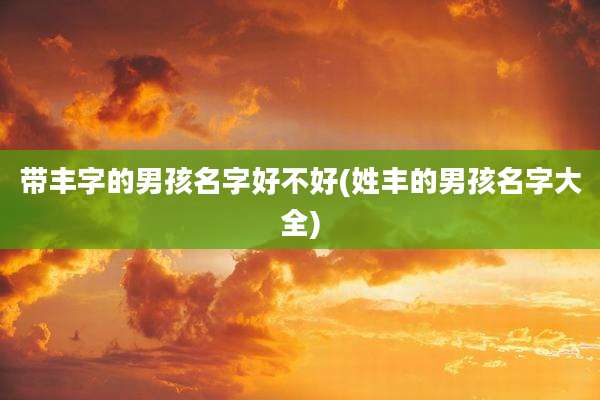 带丰字的男孩名字好不好(姓丰的男孩名字大全)