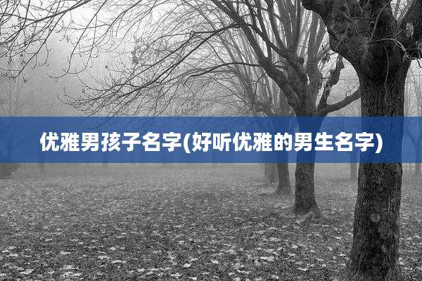 优雅男孩子名字(好听优雅的男生名字)