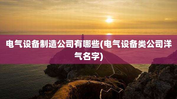 电气设备制造公司有哪些(电气设备类公司洋气名字)