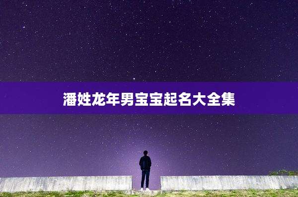 潘姓龙年男宝宝起名大全集