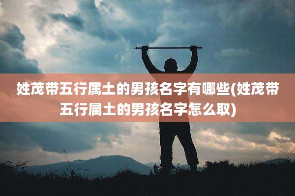 姓茂带五行属土的男孩名字有哪些(姓茂带五行属土的男孩名字怎么取)