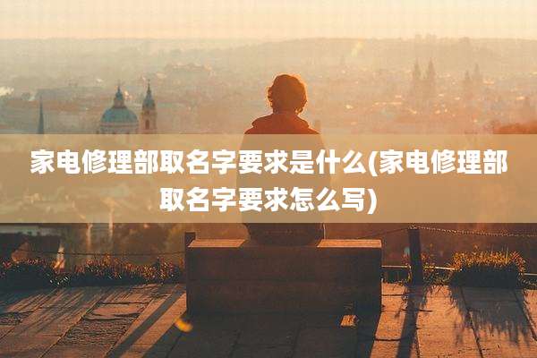 家电修理部取名字要求是什么(家电修理部取名字要求怎么写)