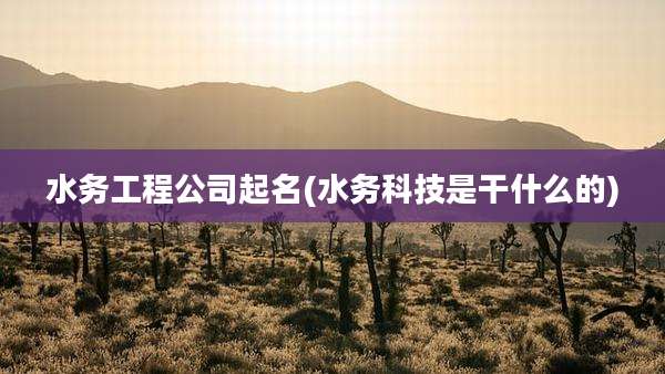 水务工程公司起名(水务科技是干什么的)
