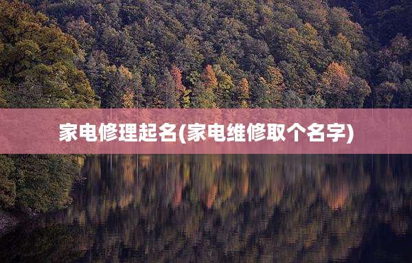 家电修理起名(家电维修取个名字)