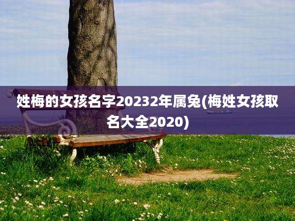 姓梅的女孩名字20232年属兔(梅姓女孩取名大全2020)
