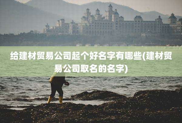 给建材贸易公司起个好名字有哪些(建材贸易公司取名的名字)