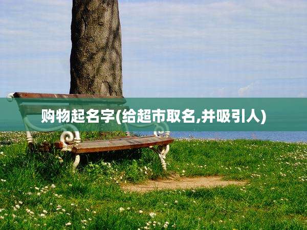 购物起名字(给超市取名,并吸引人)