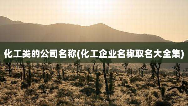 化工类的公司名称(化工企业名称取名大全集)