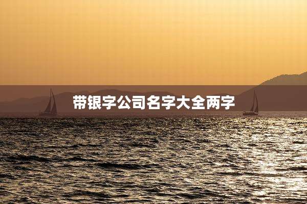 带银字公司名字大全两字