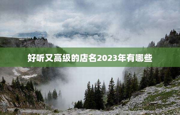 好听又高级的店名2023年有哪些