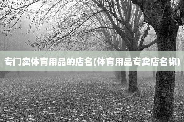 专门卖体育用品的店名(体育用品专卖店名称)