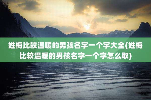 姓梅比较温暖的男孩名字一个字大全(姓梅比较温暖的男孩名字一个字怎么取)