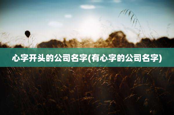 心字开头的公司名字(有心字的公司名字)