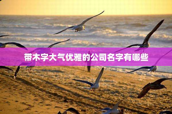 带木字大气优雅的公司名字有哪些
