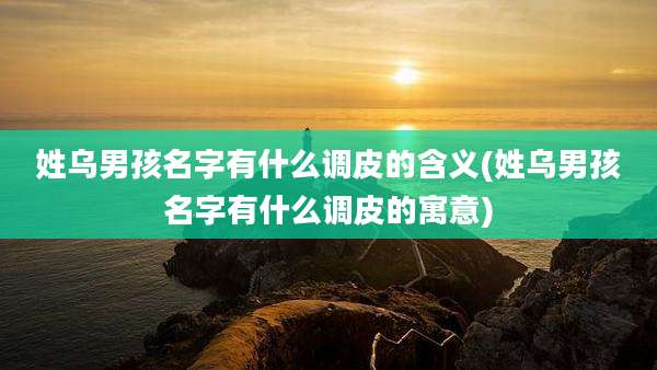 姓乌男孩名字有什么调皮的含义(姓乌男孩名字有什么调皮的寓意)