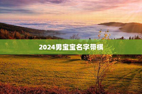 2024男宝宝名字带棋