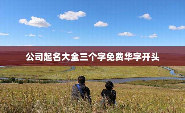 公司起名大全三个字免费华字开头
