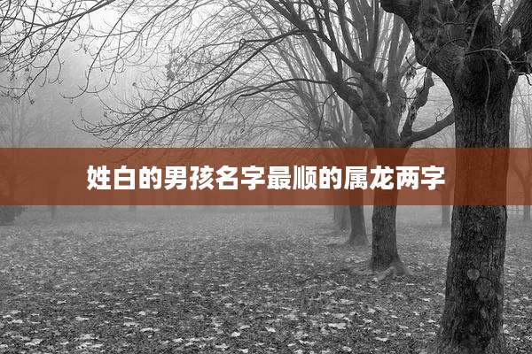 姓白的男孩名字最顺的属龙两字