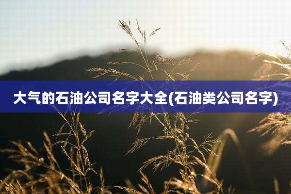 大气的石油公司名字大全(石油类公司名字)