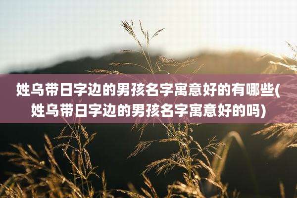 姓乌带日字边的男孩名字寓意好的有哪些(姓乌带日字边的男孩名字寓意好的吗)