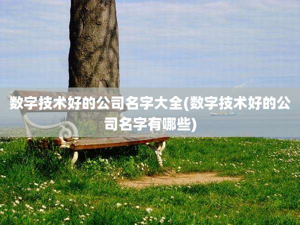 数字技术好的公司名字大全(数字技术好的公司名字有哪些)