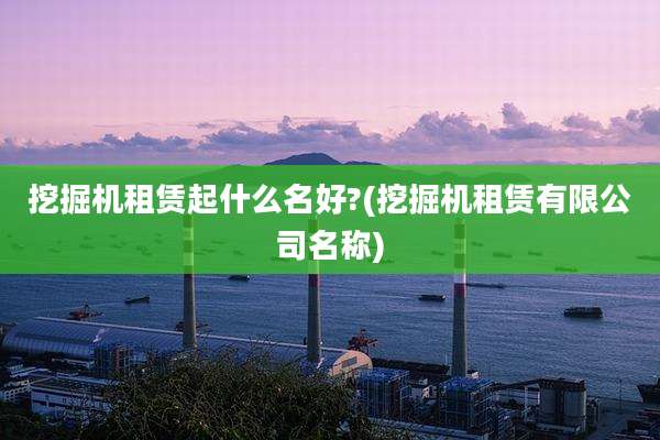 挖掘机租赁起什么名好?(挖掘机租赁有限公司名称)
