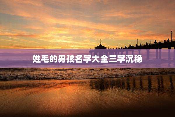 姓毛的男孩名字大全三字沉稳