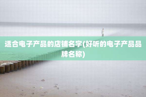 适合电子产品的店铺名字(好听的电子产品品牌名称)