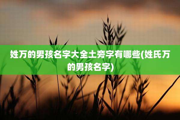 姓万的男孩名字大全土旁字有哪些(姓氏万的男孩名字)