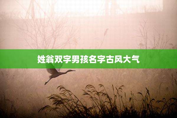 姓翁双字男孩名字古风大气