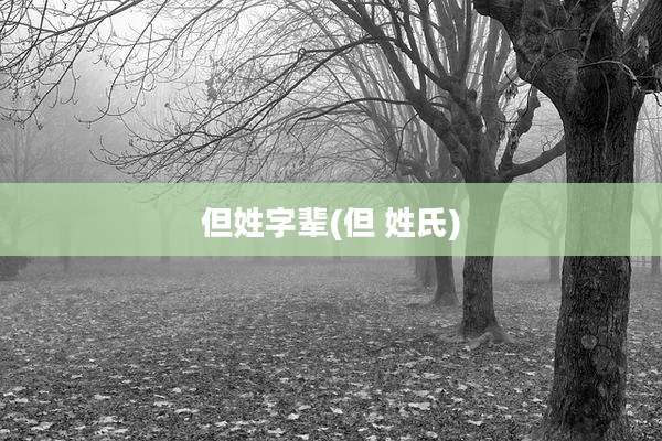 但姓字辈(但 姓氏)