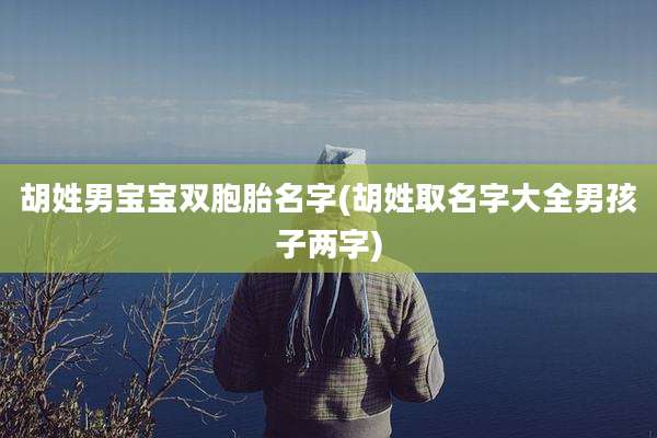 胡姓男宝宝双胞胎名字(胡姓取名字大全男孩子两字)