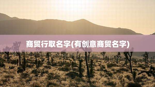 商贸行取名字(有创意商贸名字)