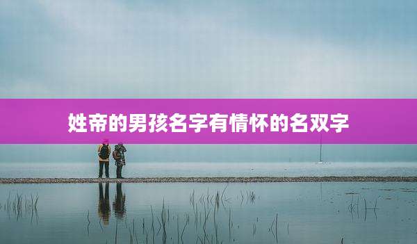 姓帝的男孩名字有情怀的名双字